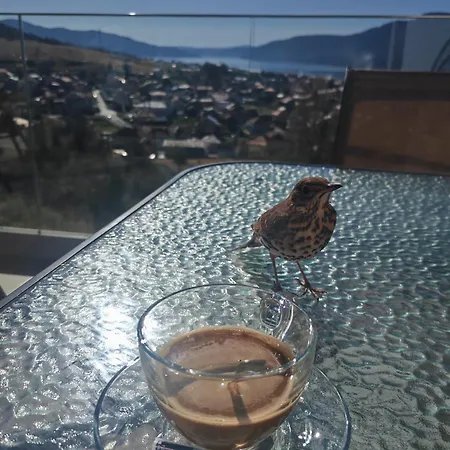 Paradise View Сърница