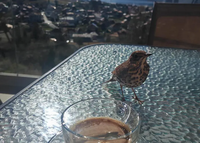 Paradise View Sarnitsa